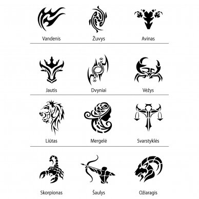Sidabrinis pakabukas su zodiako ženklu ir vardu 3
